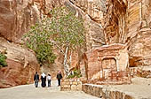 Petra - the Siq 